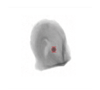 画像：長さ検査／質量検査