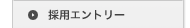 �̗p�G���g���[