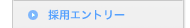 �̗p�G���g���[